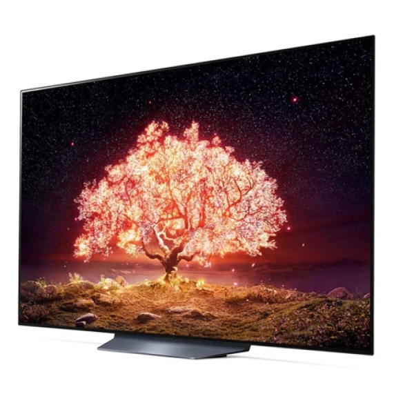 Smart Tivi OLED LG 4K 65 inch 65B1PTA