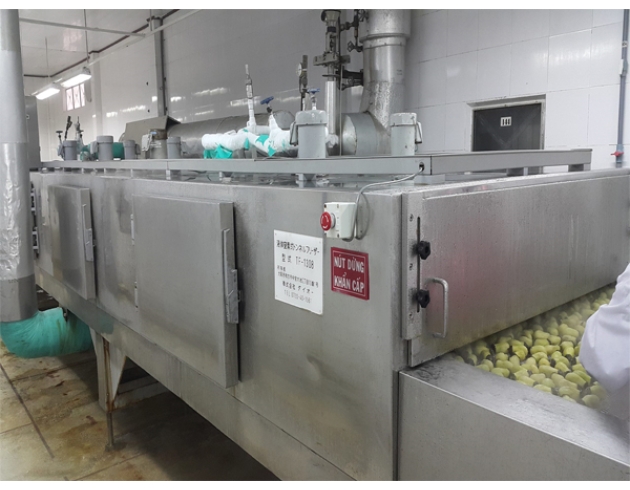 Lắp đặt hệ thống cấp đông IQF – Lắp đặt kho lạnh công nghiệp
