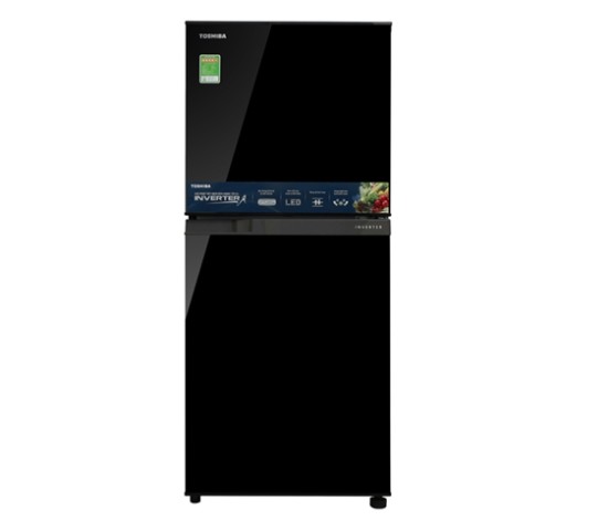 Tủ lạnh Toshiba Inverter 171 lít GR-M21VUZ1